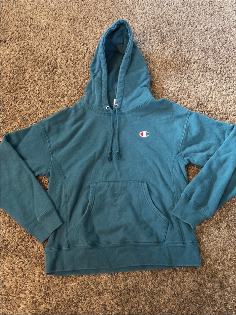 Champion Blue Hoodie